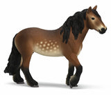 #14927S North Swedish Gold Blooded Mare