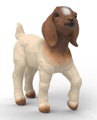 #14930S Boer Goat Kid