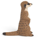 #14935S Meercat