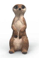 #14935S Meercat