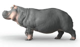 #14938S Hippopotamus