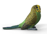 #14939S Budgie
