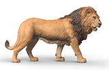 #14974S African Lion