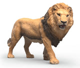 #14974S African Lion