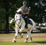 #1884 1/9 Legend, Kentucky Horse Park Mounted Police Horse