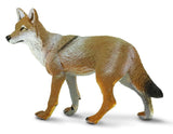 #227229 Coyote