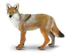 #227229 Coyote