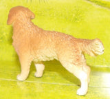 #42419E Golden Retriever Male Dog
