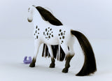 #42622 Beauty Horse Knabstrupper Stallion