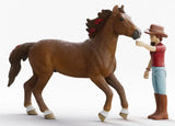 #42711 1/20 Horse Club Hannah & Cayenne Set