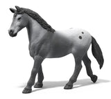 #42776 1/20 Lisa's Tournament Training Set