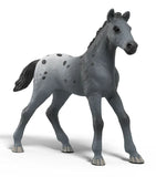 #42776 1/20 Lisa's Tournament Training Set