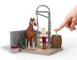 #42792 1/20 Sofia's Horse Wash Set