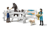 #42799 1/20 Kim's Vaulting Set