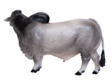 #500253 1/16 Gray Brahma Bull