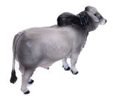 #500253 1/16 Gray Brahma Bull