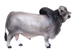#500253 1/16 Gray Brahma Bull