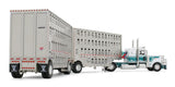 #60-2343 1/64 White & Dark Teal Peterbilt Model 389 with 36" Flat Top Sleeper & 28' Wilson Silverstar Double Livestock Trailers