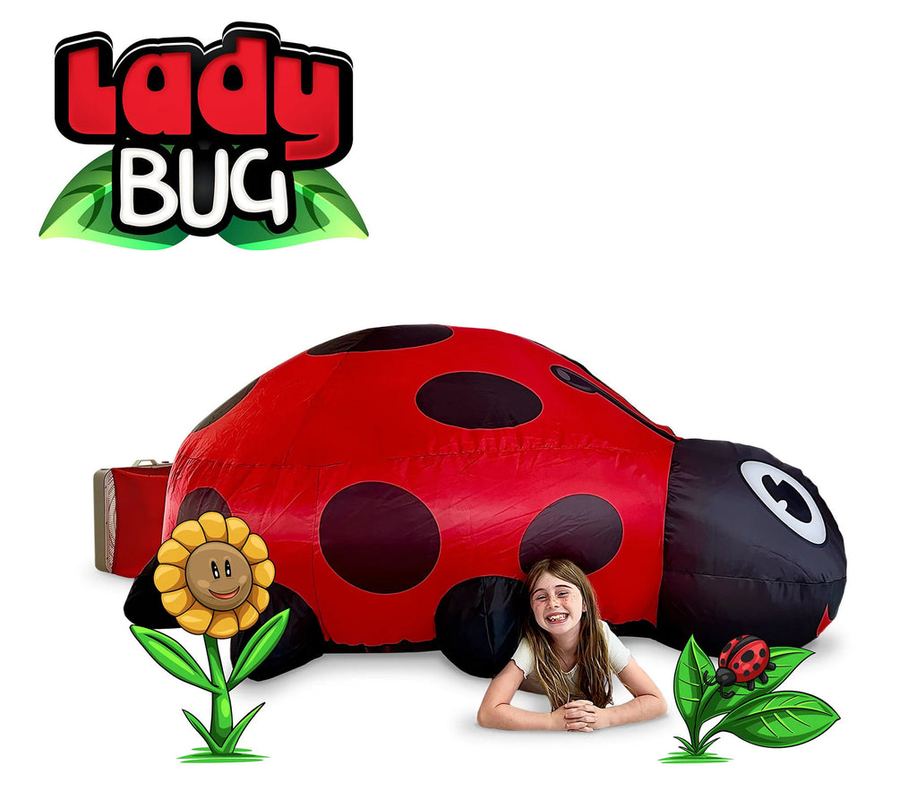 #AF-Lady AirFort Lady Bug