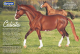 #B-TR-10007 1/9 Calista - Chestnut Sabino Warmblood