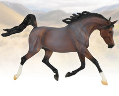 #B-TR-10018 1/9 Picante - Arabian/Quarter Horse Cross Mare