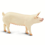 #100269 Large White Pig
