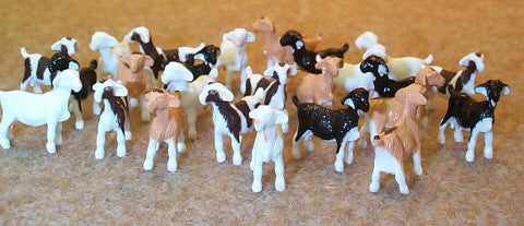 #12742B 1/64 Goats, 25 pc.
