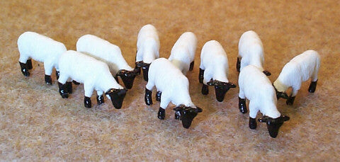 #12743B 1/64 Suffolk Sheep, 10 pc.
