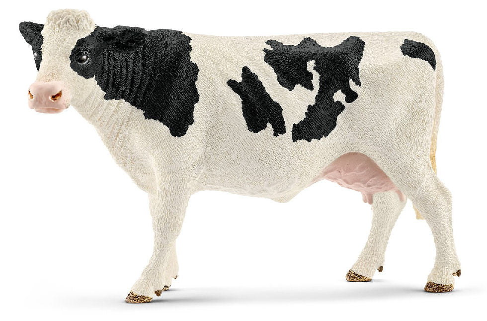 #13797 Holstein Cow