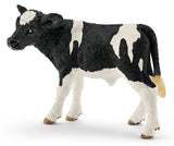#13798 Holstein Calf