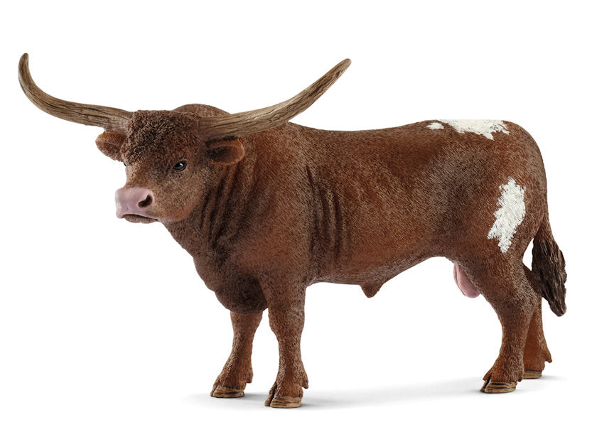 #13866 Texas Longhorn Bull