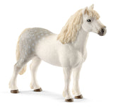 #13871S Welsh Pony Stallion