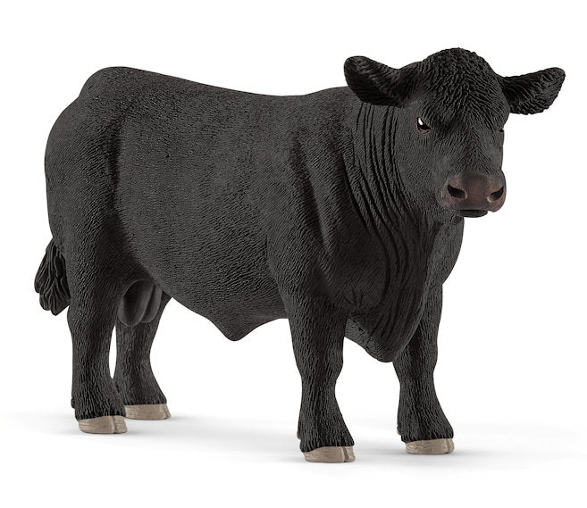 #13879 Black Angus Bull