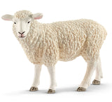 #13882 Ewe Sheep