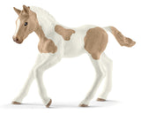 #13886S Paint Horse Foal