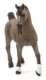#13907S Arabian Stallion