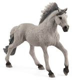 #13915S Sorraia Mustang Stallion
