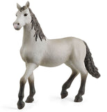 #13924S Pure Raza Espanola Young Horse