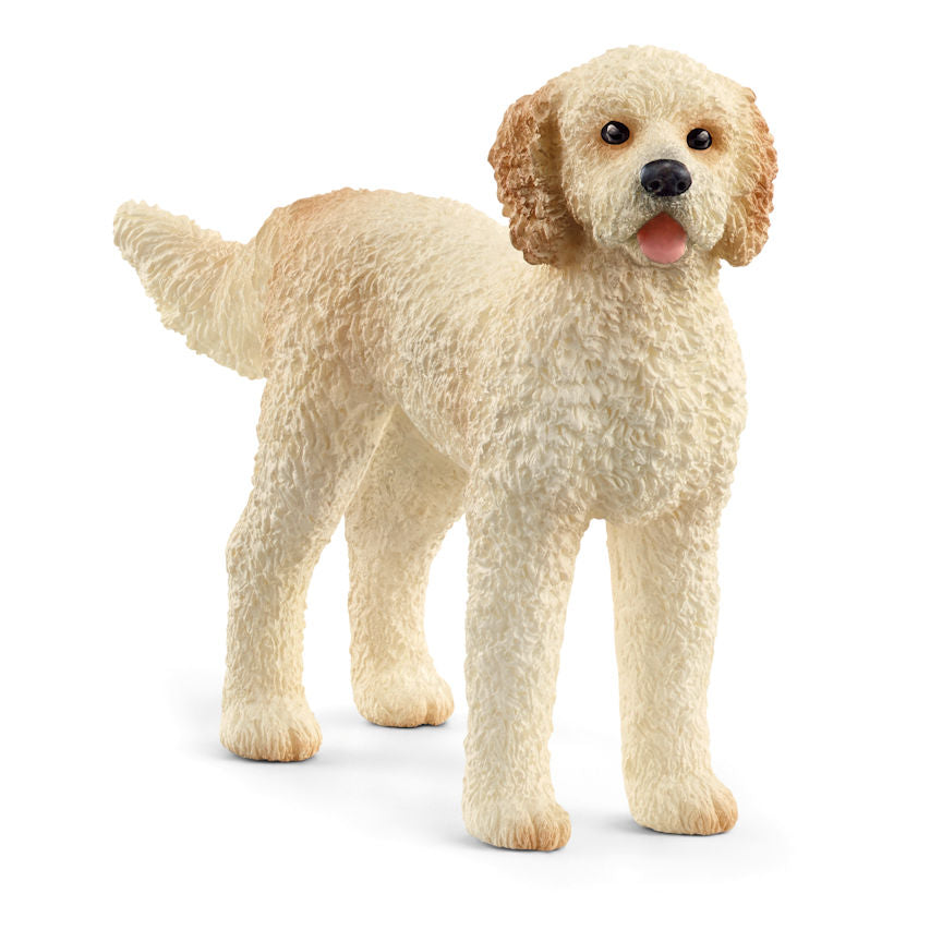 #13939S Goldendoodle Dog