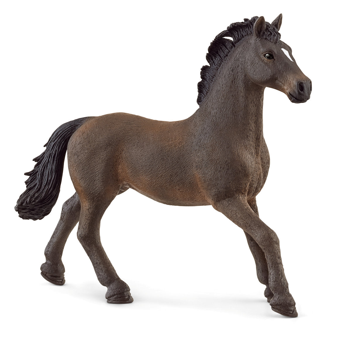 #13946S Oldenburg Stallion