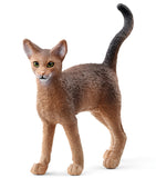 #13964S Abyssinian Cat