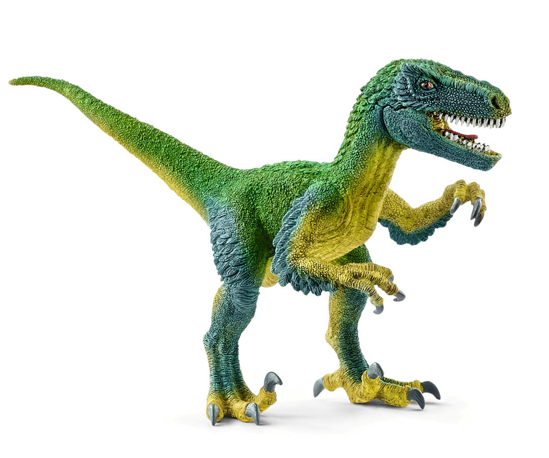 #14585 Velociraptor
