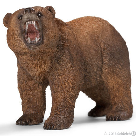 #14685 Grizzly Bear