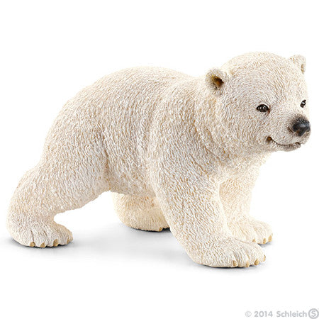 #14708 Polar Bear Cub Walking