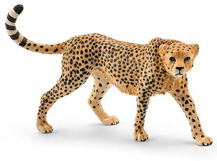 #14746 Cheetah Female