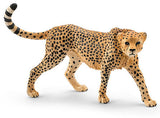 #14746 Cheetah Female