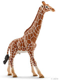 #14749 Giraffe, Male