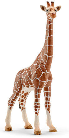 #14750 Giraffe, Female