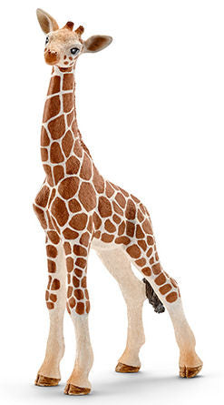#14751 Giraffe Calf