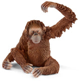 #14775 Orangutan Female